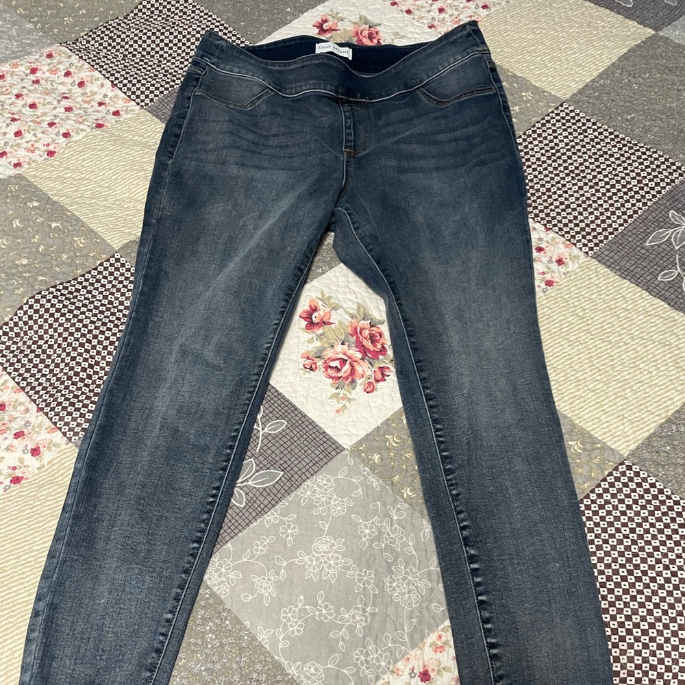 Lane Bryant Pull-On Stretch Skinny Jeans